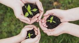 Environment Care